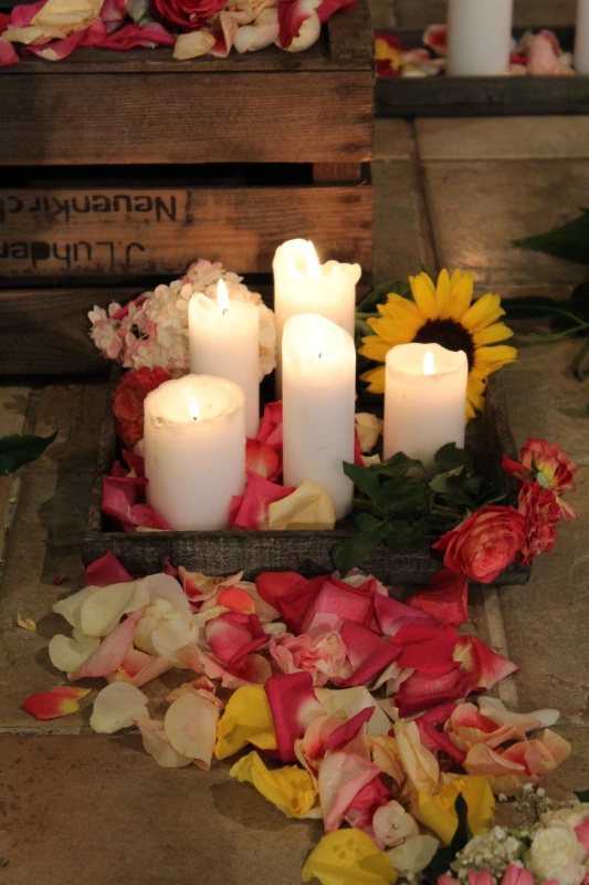 Profilbild von Alina Hansen